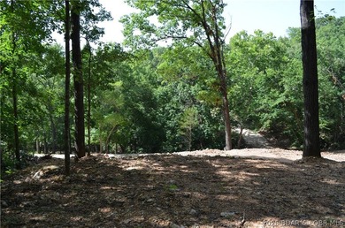 Lakeview Lot on Marina Lane - Perfect for Building or Camping! - photo 24
