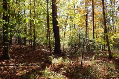 The perfect place to build your Adirondack dream home or camp - photo 5