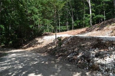 Lakeview Lot on Marina Lane - Perfect for Building or Camping! - photo 26