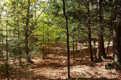 The perfect place to build your Adirondack dream home or camp - photo 6