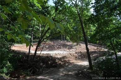 Lakeview Lot on Marina Lane - Perfect for Building or Camping! - photo 27