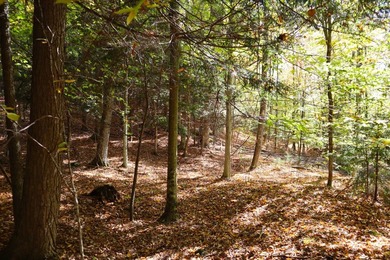 The perfect place to build your Adirondack dream home or camp - photo 7