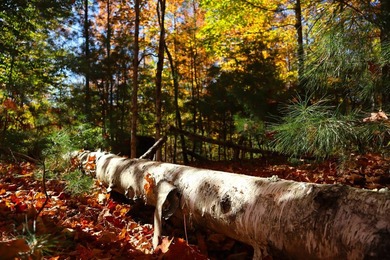 The perfect place to build your Adirondack dream home or camp - photo 9