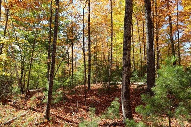 The perfect place to build your Adirondack dream home or camp - photo 10