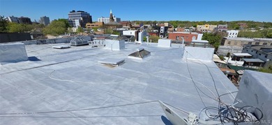 ALL OF THE APARTMENTS ARE EXEMPT FROM DHCR REGULATIONS! FREE - photo 5