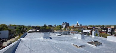 ALL OF THE APARTMENTS ARE EXEMPT FROM DHCR REGULATIONS! FREE - photo 6