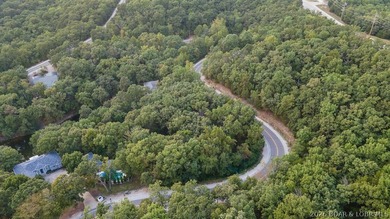 Prime Building Lot in Lake of the Ozarks! Situated just off - photo 5