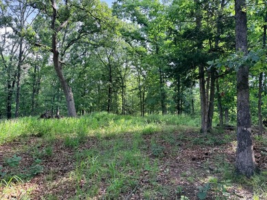 What a opportunity to own a big tract of land right in the city - photo 11