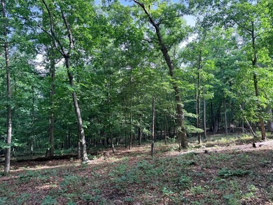 What a opportunity to own a big tract of land right in the city - photo 12