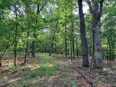 What a opportunity to own a big tract of land right in the city - photo 13