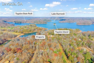 Lake Lot For Sale in Lavonia, Georgia