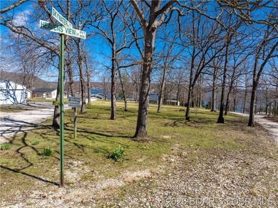 5.7 Acres that is wooded and a great parcel for your Lake View - photo 3