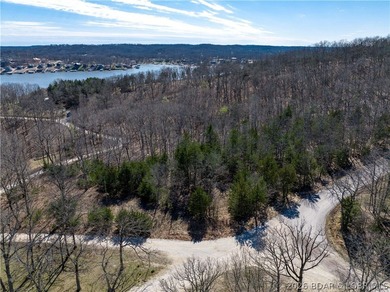 5.7 Acres that is wooded and a great parcel for your Lake View - photo 4