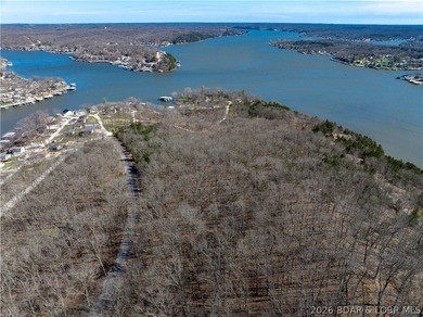 5.7 Acres that is wooded and a great parcel for your Lake View - photo 5
