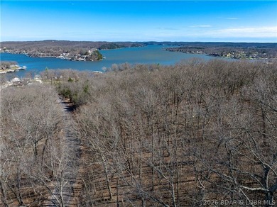 5.7 Acres that is wooded and a great parcel for your Lake View - photo 6