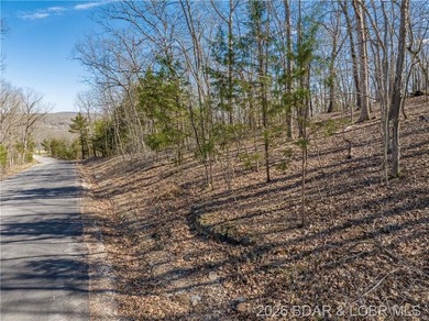 5.7 Acres that is wooded and a great parcel for your Lake View - photo 7