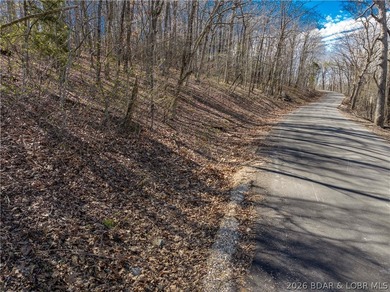 5.7 Acres that is wooded and a great parcel for your Lake View - photo 8