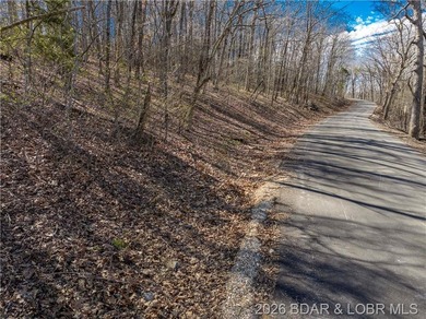 5.7 Acres that is wooded and a great parcel for your Lake View - photo 8
