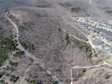 5.7 Acres that is wooded and a great parcel for your Lake View - photo 10