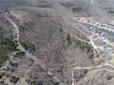 5.7 Acres that is wooded and a great parcel for your Lake View - photo 10