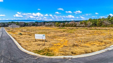 Scenic Way Village is a beautiful subdivision development - photo 14