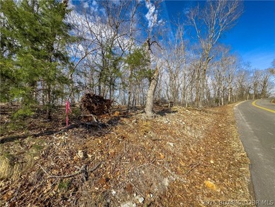 14.9 wooded Acres on paved road. Private and peaceful acreage - photo 7
