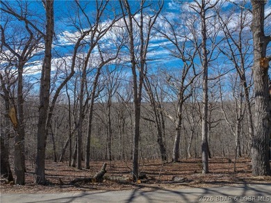 14.9 wooded Acres on paved road. Private and peaceful acreage - photo 10