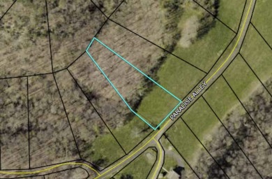 Level 1.3 Acre Building Lot in the Lake Cumberland Area - photo 2