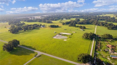 (private lake, pond, creek) Acreage For Sale in Bushnell Florida
