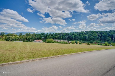 Lake Lot For Sale in Greeneville, Tennessee