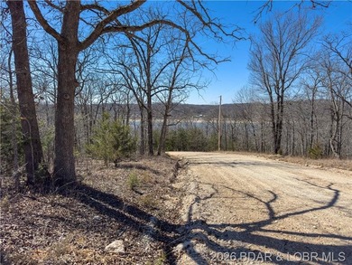 26 Acres with Lake View in Cardinal Cove. Great acreage for your - photo 2