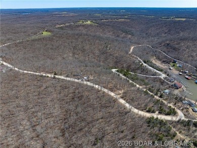 26 Acres with Lake View in Cardinal Cove. Great acreage for your - photo 7
