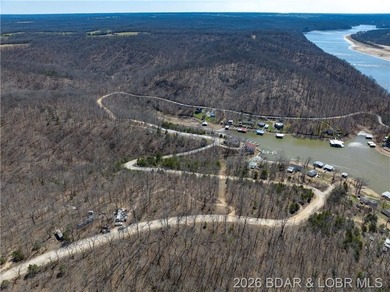 26 Acres with Lake View in Cardinal Cove. Great acreage for your - photo 8