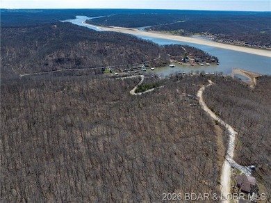 26 Acres with Lake View in Cardinal Cove. Great acreage for your - photo 9