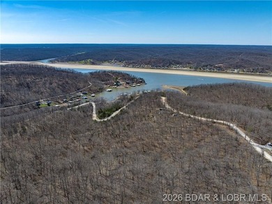 26 Acres with Lake View in Cardinal Cove. Great acreage for your - photo 10