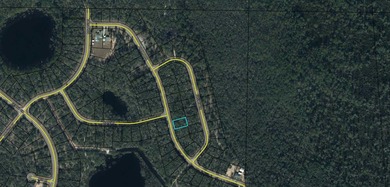 Boat Lake Lot For Sale in Chipley Florida