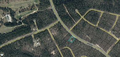 Gap Lake  Lot Sale Pending in Chipley Florida