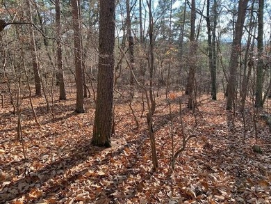(private lake, pond, creek) Lot For Sale in Jasper Georgia