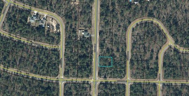 Blue Homestead Lake  Lot Sale Pending in Chipley Florida