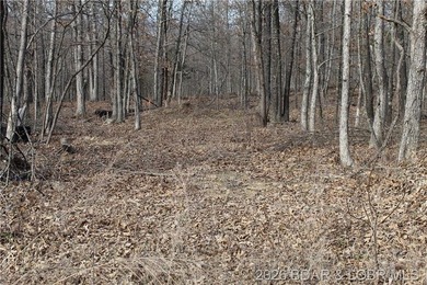 Triangular parcel in Proctor Tower Estates just 10 minutes north - photo 1