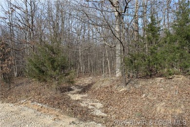 Triangular parcel in Proctor Tower Estates just 10 minutes north - photo 2