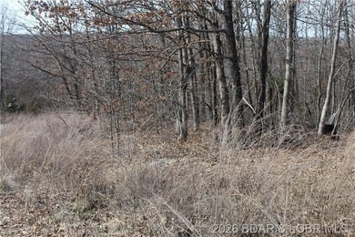 Triangular parcel in Proctor Tower Estates just 10 minutes north - photo 3