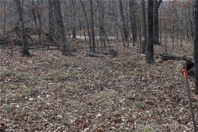 Triangular parcel in Proctor Tower Estates just 10 minutes north - photo 4