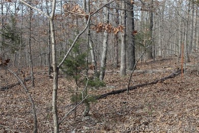 Triangular parcel in Proctor Tower Estates just 10 minutes north - photo 5