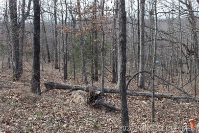 Triangular parcel in Proctor Tower Estates just 10 minutes north - photo 7