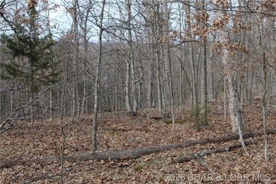 Triangular parcel in Proctor Tower Estates just 10 minutes north - photo 8