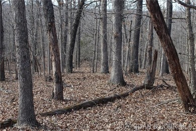 Triangular parcel in Proctor Tower Estates just 10 minutes north - photo 9