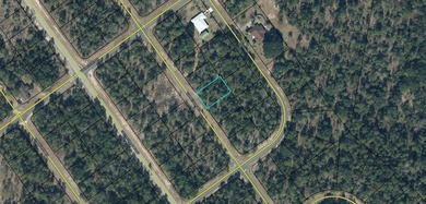Blue Homestead Lake  Lot Sale Pending in Chipley Florida