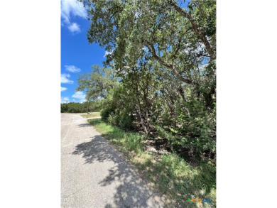 Lake Lot For Sale in Spring Branch, Texas