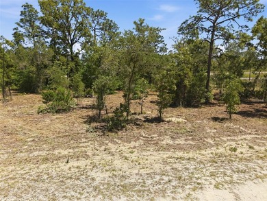 This Beautiful 20,805 Sq Ft Vacant Homesite Offers The Perfect - photo 3